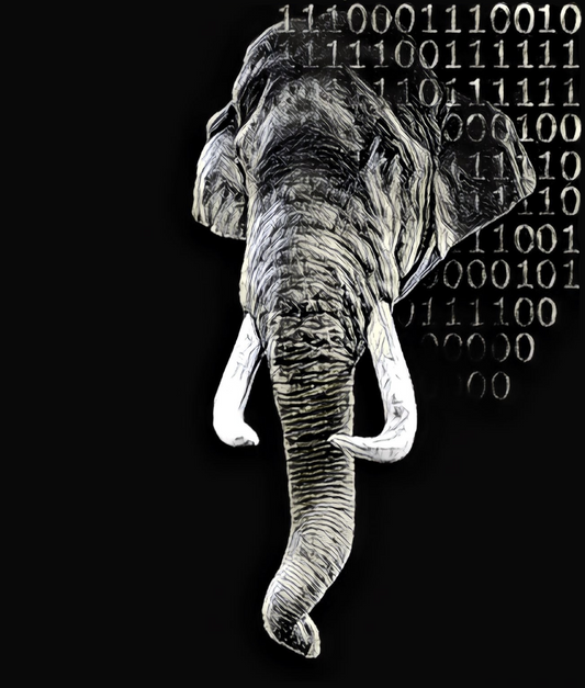 Bonus Episode 7: Elephantry